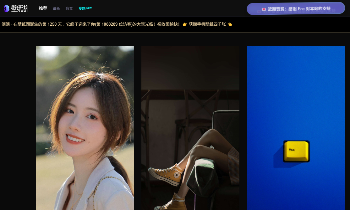 壁纸湖 - 一个纯净、无广告的手机壁纸网站